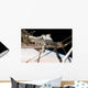 Canadian-built Dextre Robotic System Wall Decal Design 2