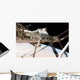Canadian-built Dextre Robotic System Wall Decal Design 2