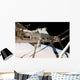 Canadian-built Dextre Robotic System Wall Decal Design 2
