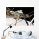 Canadian-built Dextre Robotic System Wall Decal Design 2