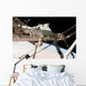 Canadian-built Dextre Robotic System Wall Decal Design 2
