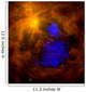 Orion Nebula Infrared Overlaid Wall Decal
