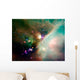 Newborn Stars Wall Decal