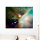 Newborn Stars Wall Decal