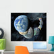 Rocky Terrestrial Worlds Wall Decal