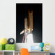 Space Shuttle Endeavour Wall Decal Design 18