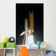 Space Shuttle Endeavour Wall Decal Design 18