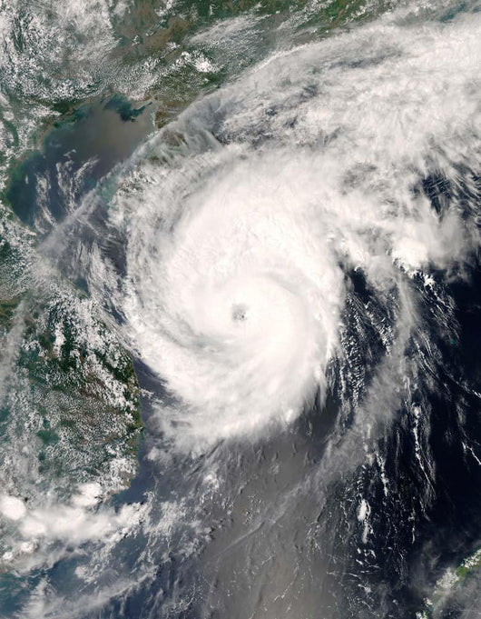 Typhoon Neoguri Approaching China Wall Decal Design 1