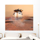 Phoenix Mars Lander Wall Decal Design 3