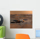 Phoenix Mars Lander Wall Decal Design 4