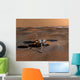 Phoenix Mars Lander Wall Decal Design 4