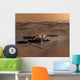 Phoenix Mars Lander Wall Decal Design 4