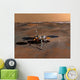 Phoenix Mars Lander Wall Decal Design 4