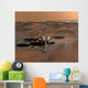 Phoenix Mars Lander Wall Decal Design 4