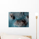 Mesas Nilosyrtis Mensae Region Wall Decal