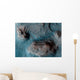 Mesas Nilosyrtis Mensae Region Wall Decal