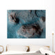 Mesas Nilosyrtis Mensae Region Wall Decal