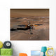 Phoenix Mars Lander Wall Decal Design 5