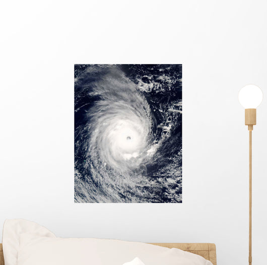 Cyclone Adeline-Juliet Moving West Wall Decal