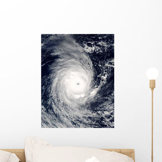 Cyclone Adeline-Juliet Moving West Wall Decal