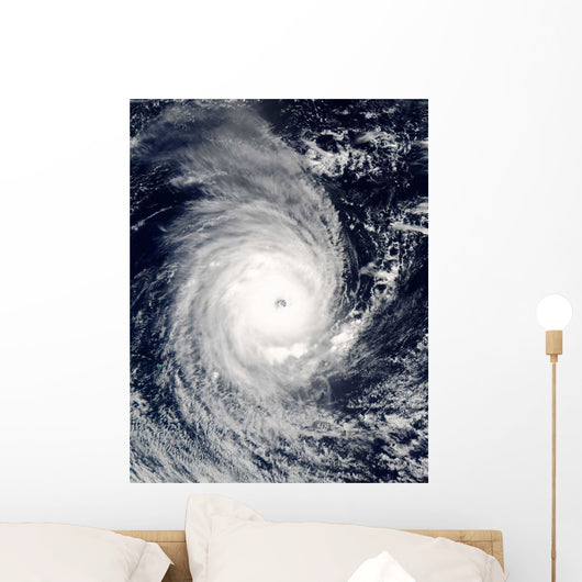 Cyclone Adeline-Juliet Moving West Wall Decal