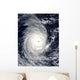 Cyclone Adeline-Juliet Moving West Wall Decal