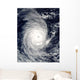 Cyclone Adeline-Juliet Moving West Wall Decal