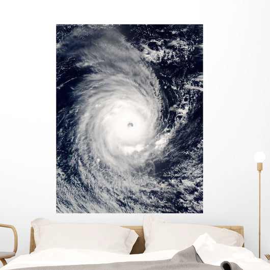 Cyclone Adeline-Juliet Moving West Wall Decal