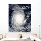Cyclone Adeline-Juliet Moving West Wall Decal