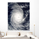 Cyclone Adeline-Juliet Moving West Wall Decal