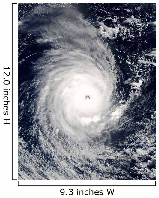 Cyclone Adeline-Juliet Moving West Wall Decal