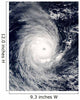 Cyclone Adeline-Juliet Moving West Wall Decal