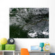 Amazon River Northern Brazil Wall Decal Design 2