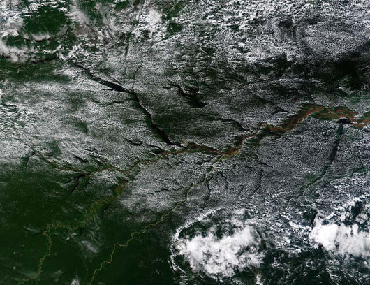 Amazon River Northern Brazil Wall Decal Design 2