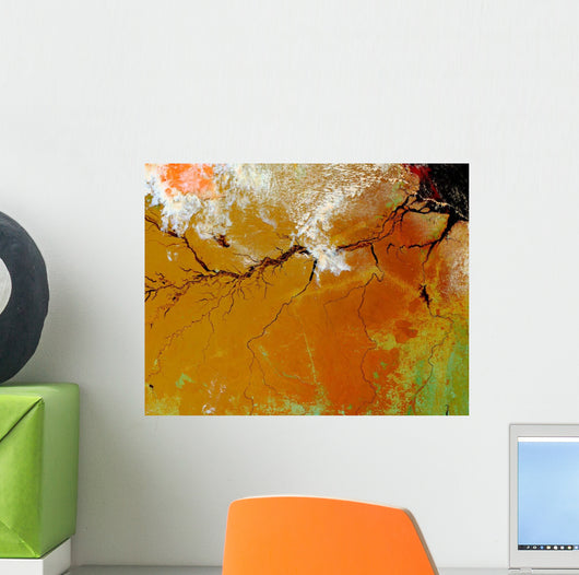 Amazon Rainforest Wall Decal