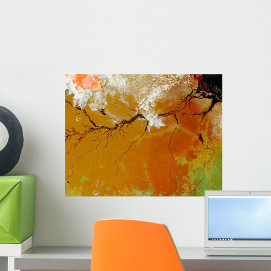 Amazon Rainforest Wall Decal Wallmonkeys