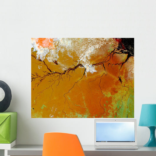 Amazon Rainforest Wall Decal