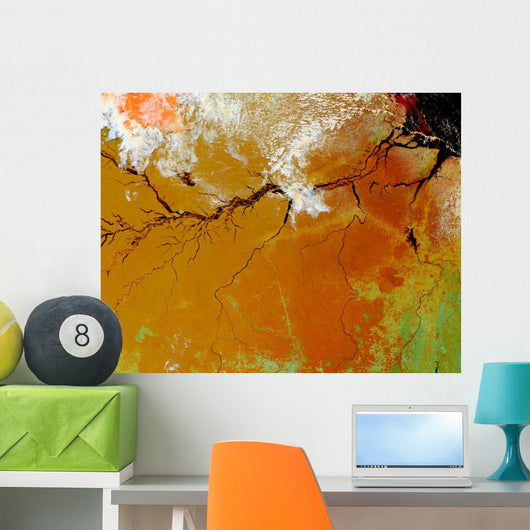 Amazon Rainforest Wall Decal