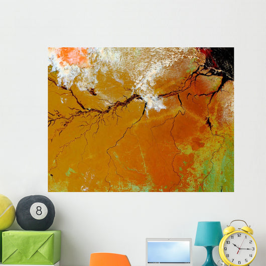 Amazon Rainforest Wall Decal