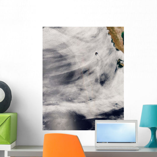 Guadalupe Island off Coast Wall Decal
