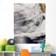 Guadalupe Island off Coast Wall Decal