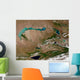 Satellite Lake Balkhash Eastern Wall Decal