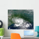 Tropical Storm Bertha Wall Decal