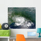 Tropical Storm Bertha Wall Decal