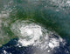 Tropical Storm Bertha Wall Decal