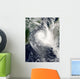 Tropical Cyclone Boloetse Wall Decal