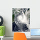 Tropical Cyclone Boloetse Wall Decal