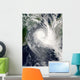 Tropical Cyclone Boloetse Wall Decal