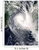 Tropical Cyclone Boloetse Wall Decal