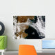 Ash Plume from Eruption Wall Decal